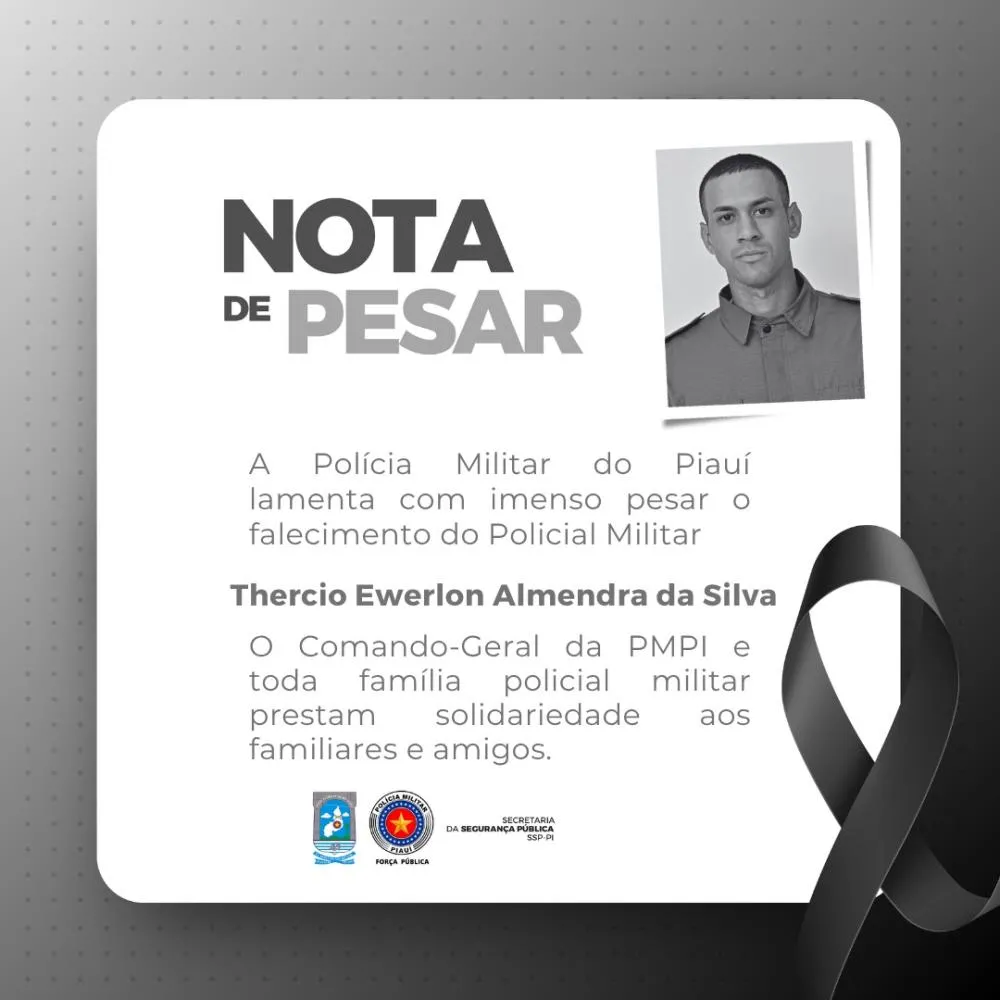 Foto: Reprodução/SSP-PI